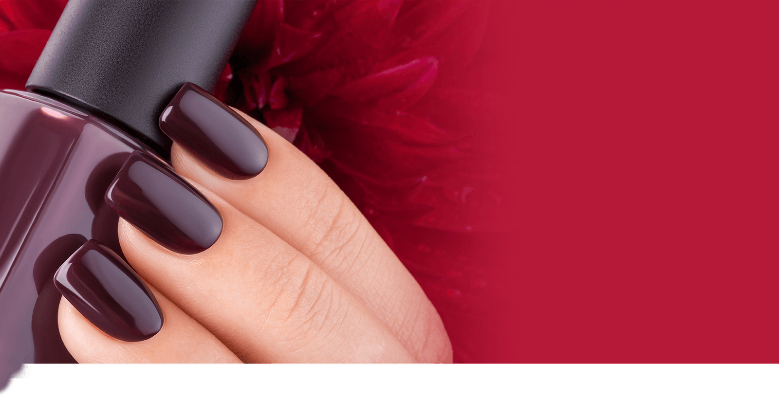 Hand-painted nail art and nail care at Originails Salon and Spa